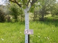 kirschalle-namenschild-keramik-ivancsics-ollersdorf
