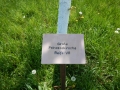 namenschild-kirschallee-ollersdorf-ivancsics